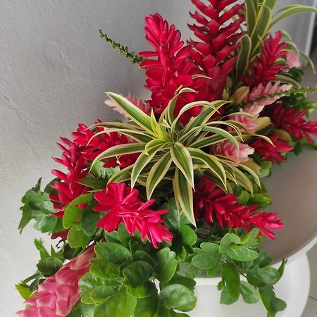 Espace Nature 97115 Sainte-Rose Bagian luar foto