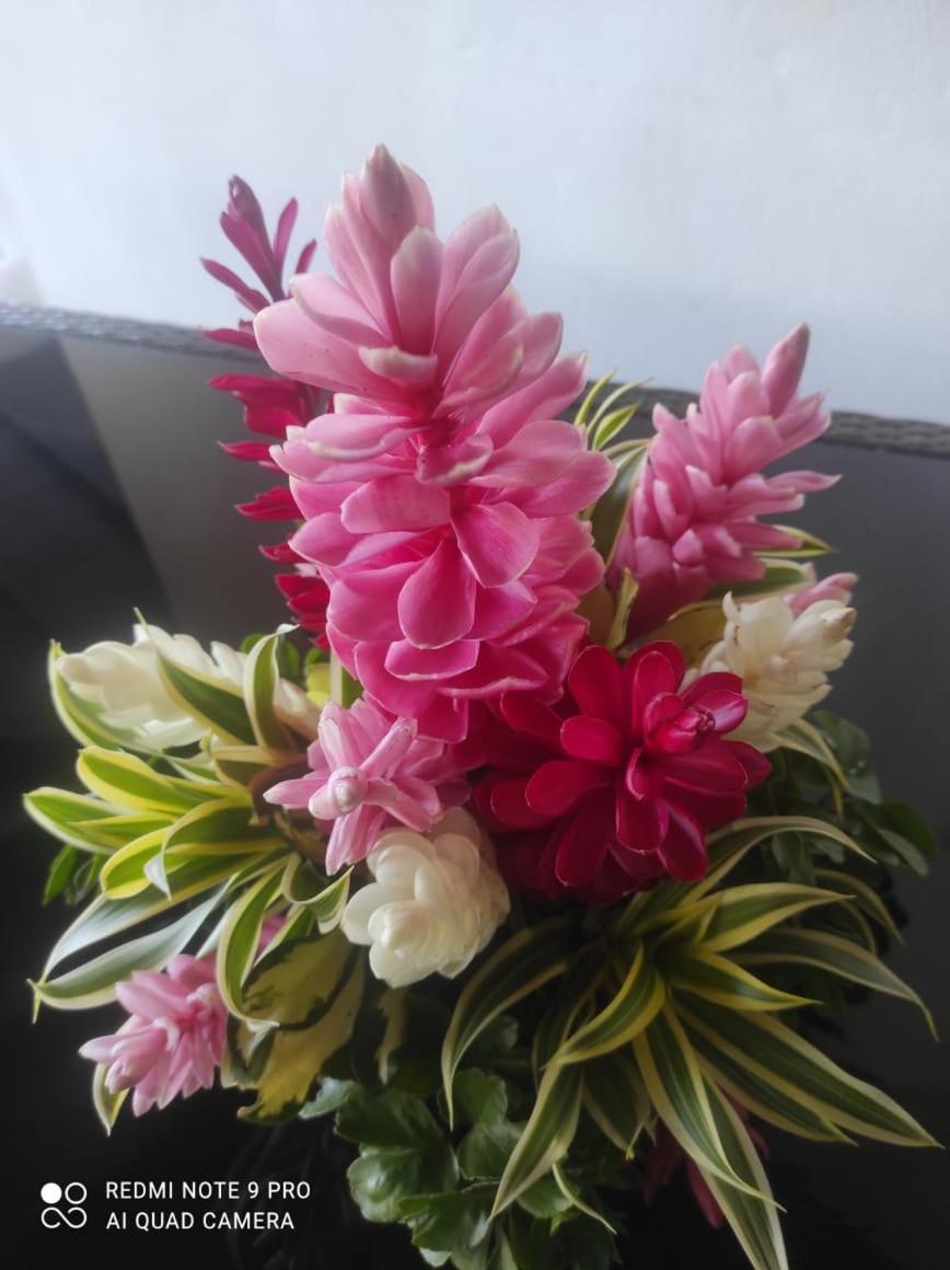 Espace Nature 97115 Sainte-Rose Bagian luar foto