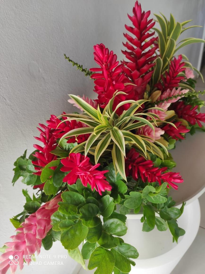 Espace Nature 97115 Sainte-Rose Bagian luar foto